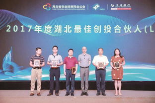 投資改革增引力，資本匯聚強產業——投資控股的發展新路徑